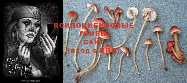 ECSTASY Каменка