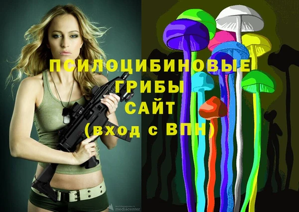 ECSTASY Каменка