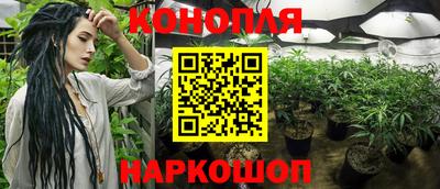 гидра Азнакаево