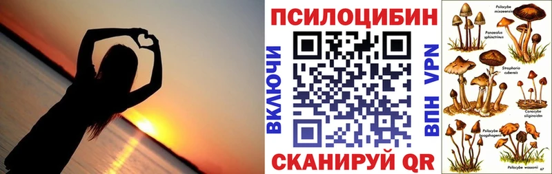 Купить закладки  Кировск  Галлюциногенные грибы Psilocybe 