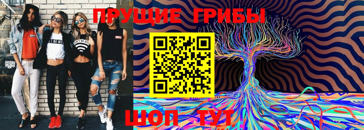 Псилоцибиновые грибы ЛСД Кировск