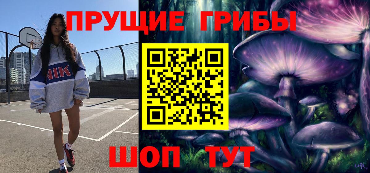 Псилоцибиновые грибы Cubensis  Вход с VPN  Кировск 