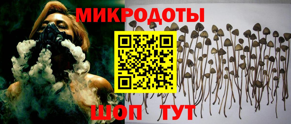 Галлюциногенные грибы MAGIC MUSHROOMS  Кировск 