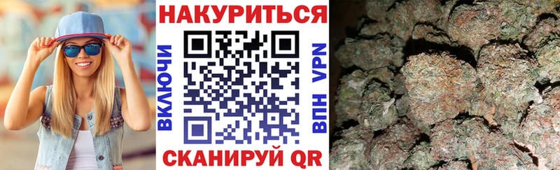 Купить  Кировск  Канабис сатива 