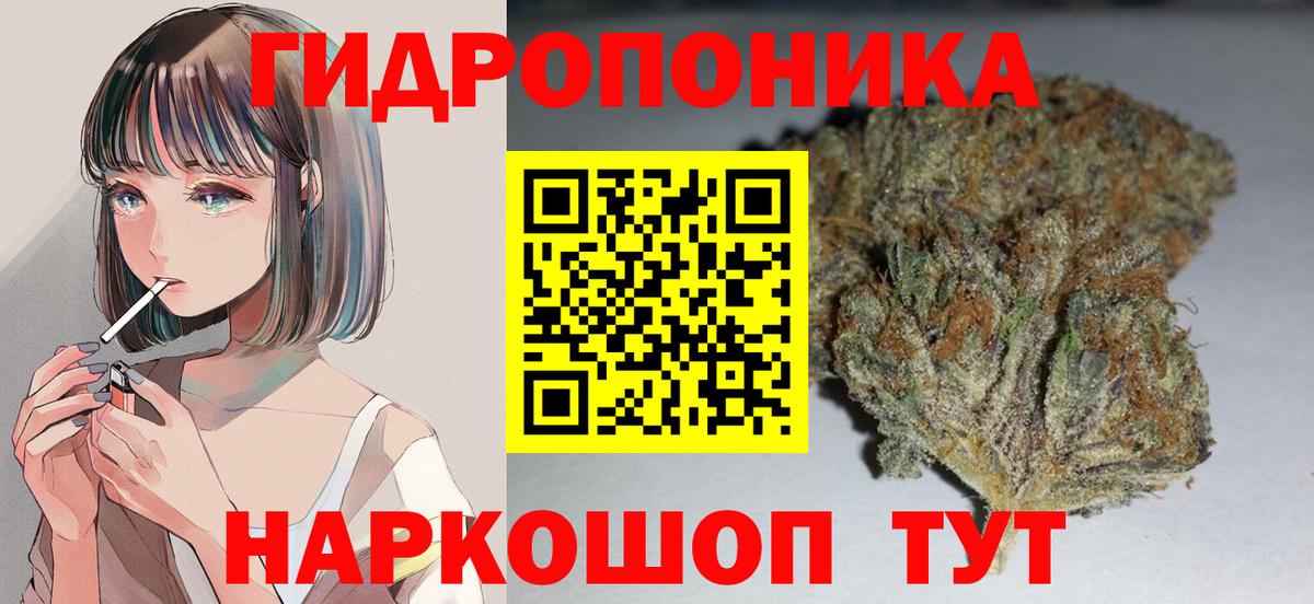 Бошки Шишки White Widow  МАРИХУАНА VHQ  Кировск  Бошки марихуана индика 